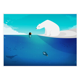 Plakat Niedźwiedź polarny kontra pingwiny