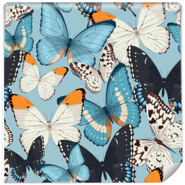 Tapeta winylowa zmywalna w rolce Motyle w kolorach niebieskim, czarnym, białym i pomarańczowym