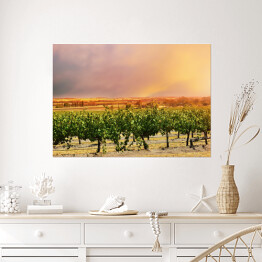 Plakat samoprzylepny Pastelowe niebo nad Doliną Barossa 
