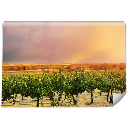 Fototapeta winylowa zmywalna Pastelowe niebo nad Doliną Barossa 
