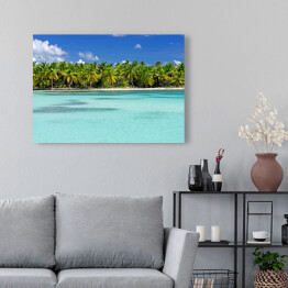 Obraz na płótnie Tropikalna plaża Saona, Dominikana, Karaiby