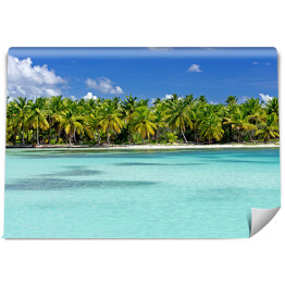 Fototapeta winylowa zmywalna Tropikalna plaża Saona, Dominikana, Karaiby