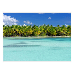 Plakat samoprzylepny Tropikalna plaża Saona, Dominikana, Karaiby