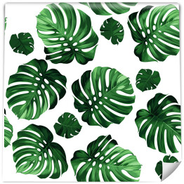 Tapeta samoprzylepna w rolce Rozłożyste zielone ciemne liście na białym tle