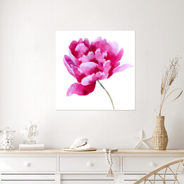 Plakat samoprzylepny Różowy kwitnący kwiat - akwarela 