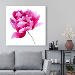 Obraz na płótnie Różowy kwitnący kwiat - akwarela 