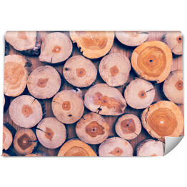 Fototapeta samoprzylepna Duże drewniane kłody