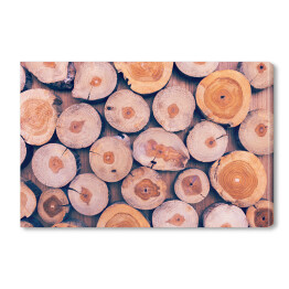 Duże drewniane kłody