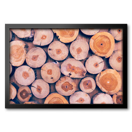 Obraz w ramie Duże drewniane kłody