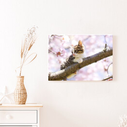 Obraz na płótnie Mały kotek siedzący na gałęzi wiśni