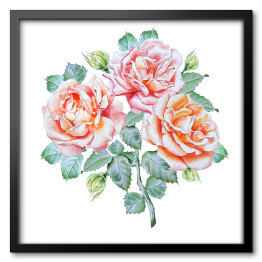 Obraz w ramie Kwiaty róż na liściach - akwarela