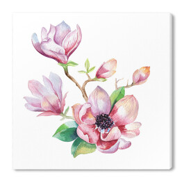 Obraz na płótnie Malowane kwiaty magnolii