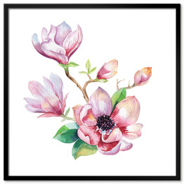 Malowane kwiaty magnolii