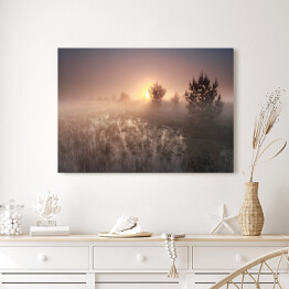 Obraz na płótnie Wschód słońca nad polaną w mglisty dzień