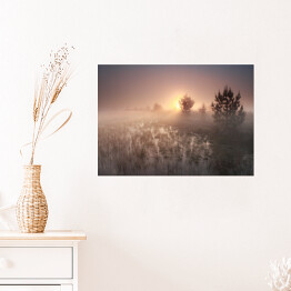 Plakat Wschód słońca nad polaną w mglisty dzień
