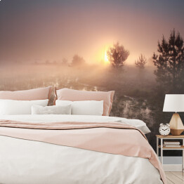 Fototapeta winylowa zmywalna Wschód słońca nad polaną w mglisty dzień