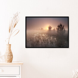Plakat w ramie Wschód słońca nad polaną w mglisty dzień