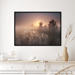 Plakat w ramie Wschód słońca nad polaną w mglisty dzień