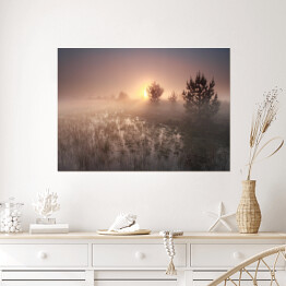 Plakat samoprzylepny Wschód słońca nad polaną w mglisty dzień