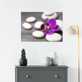 Plakat samoprzylepny Biali - kamienie i orientalny kwiat