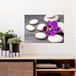 Plakat samoprzylepny Biali - kamienie i orientalny kwiat