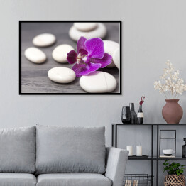 Plakat w ramie Biali - kamienie i orientalny kwiat