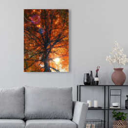 Obraz na płótnie Jesienne drzewo ze spadającymi liśćmi 