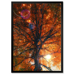 Plakat w ramie Jesienne drzewo ze spadającymi liśćmi 