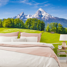 Fototapeta Krajobraz alpejski z krowami wypasanymi na zielonych łąkach wiosną