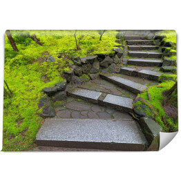 Kamienne granitowe schody wzdłuż zielonego mchu