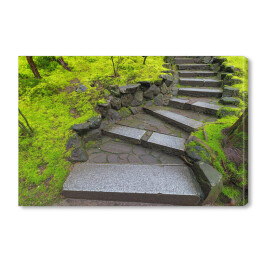 Kamienne granitowe schody wzdłuż zielonego mchu