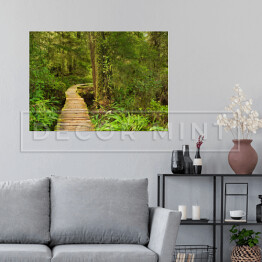 Plakat samoprzylepny Most prowadzący przez las deszczowy