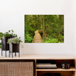 Plakat samoprzylepny Most prowadzący przez las deszczowy