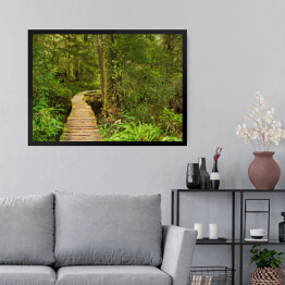 Obraz w ramie Most prowadzący przez las deszczowy