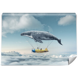 Fototapeta Samolot i wieloryb wśród chmur