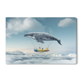 Obraz na płótnie Samolot i wieloryb wśród chmur