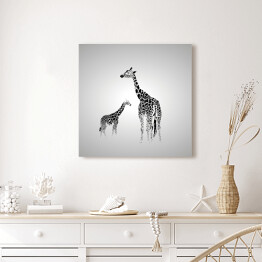 Obraz na płótnie Żyrafa duża i mała w odcieniach szarości