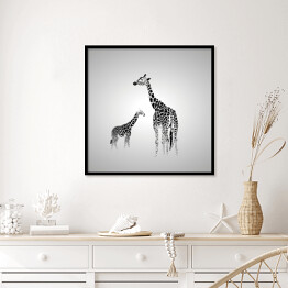 Plakat w ramie Żyrafa duża i mała w odcieniach szarości