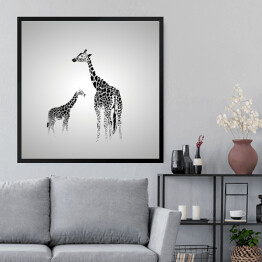 Obraz w ramie Żyrafa duża i mała w odcieniach szarości