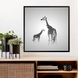 Obraz w ramie Żyrafa duża i mała w odcieniach szarości