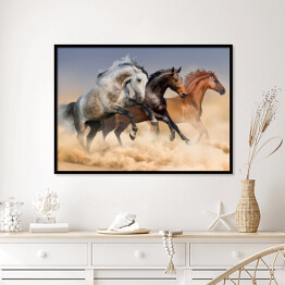 Plakat w ramie Stado koni biegnących w tumanach kurzu