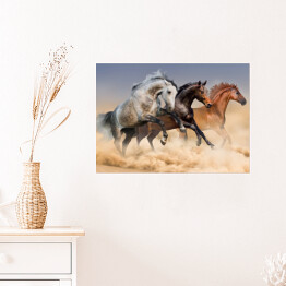 Plakat samoprzylepny Stado koni biegnących w tumanach kurzu
