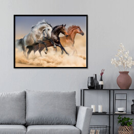 Plakat w ramie Stado koni biegnących w tumanach kurzu