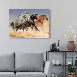 Obraz na płótnie Stado koni biegnących w tumanach kurzu