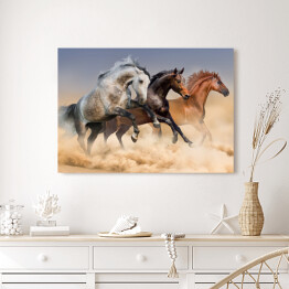 Obraz na płótnie Stado koni biegnących w tumanach kurzu