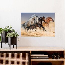 Plakat samoprzylepny Stado koni biegnących w tumanach kurzu