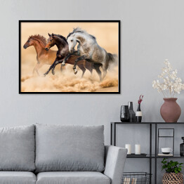 Plakat w ramie Trzy konie biegnące galopem w kurzu