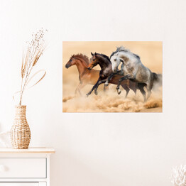 Plakat Trzy konie biegnące galopem w kurzu