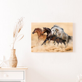 Obraz na płótnie Trzy konie biegnące galopem w kurzu