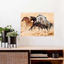 Plakat Trzy konie biegnące galopem w kurzu